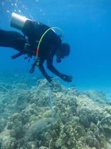 Jade Delevaux conducting reef surveys. Credit: Kostantinos Stamoulis.