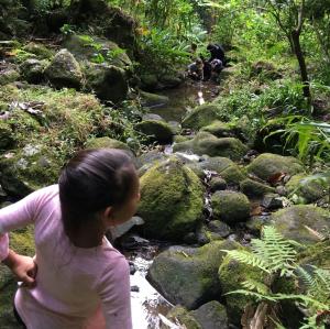 Hanging out at ʻAihualama Falls