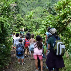 Hiking to ʻAihualama Falls
