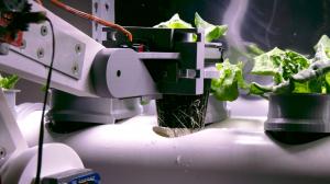 The Box Farm system can seed, plant and monitor autonomously.