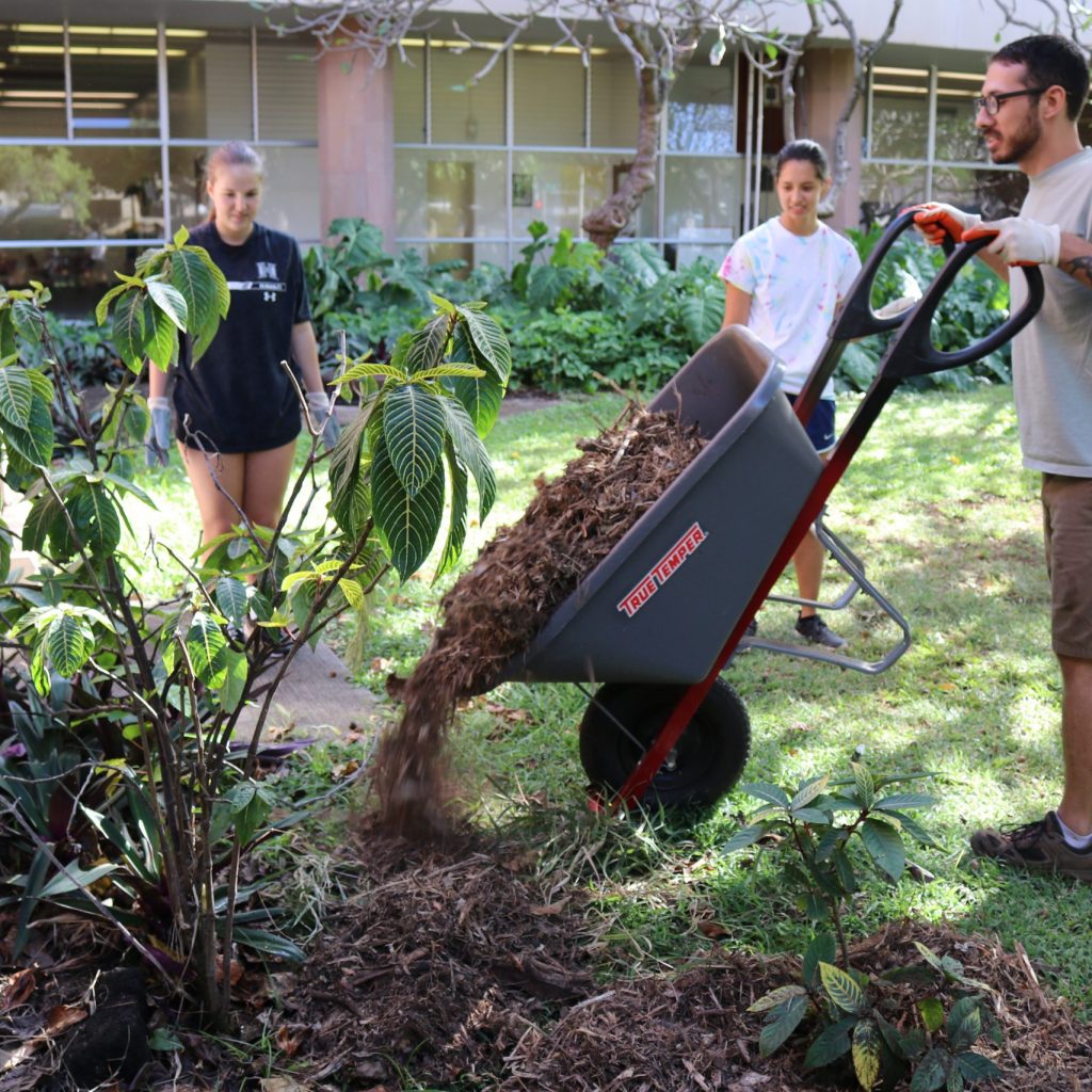 Students Using A Wheelbarrow To Put Dirt And Wood Chippings Around Campus Plants