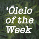 ʻōlelo of the week