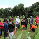 Kiana Frank showing students how to get dirt samples from the loʻi