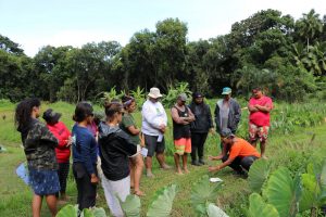 Kiana Frank showing students how to get dirt samples from the loʻi