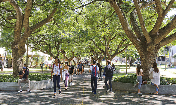 Photo of a lot of students walking on McCarthy Mall