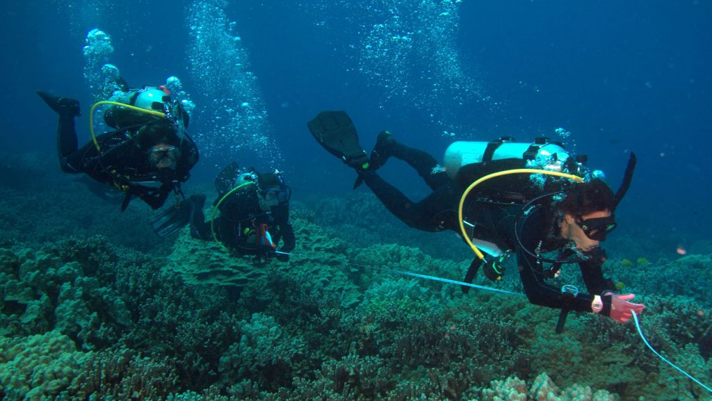 3 divers underwater - Environmental and Safety Office link