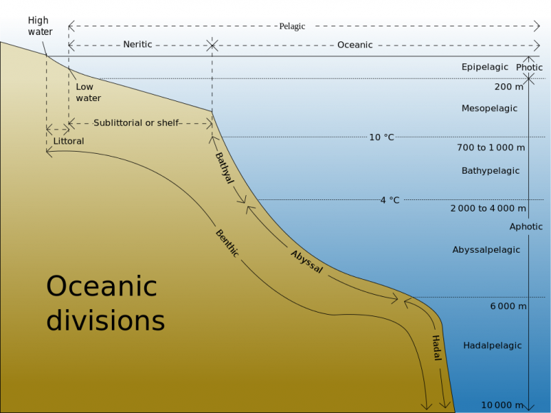 <p>Fig 3. Diagram of the divisions of the ocean.</p>