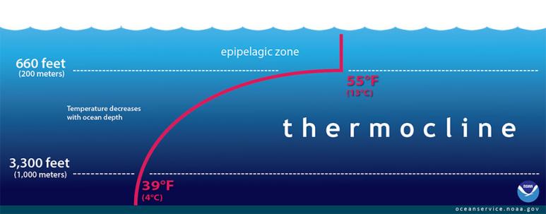 <p>Fig 4. In this seawater profile, the red line shows the temperature change, or thermocline, as depth increases. This profile may look different between seasons and locations.&nbsp;</p>
