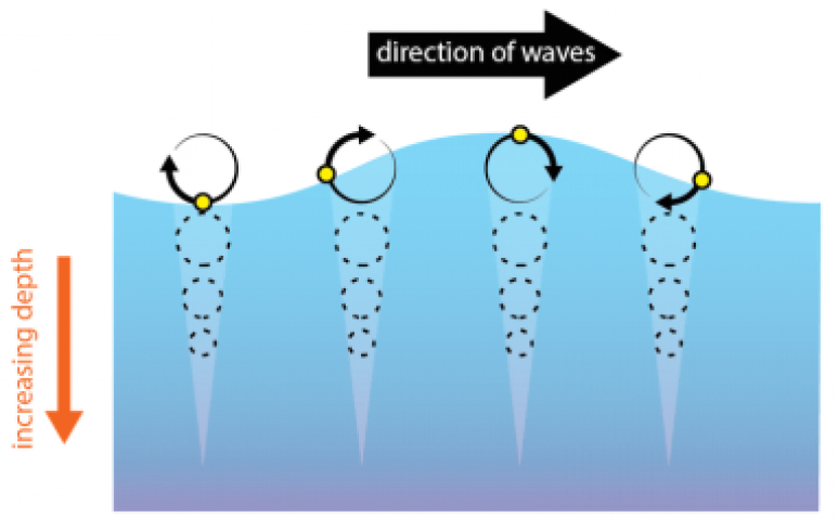 <p>Fig. 2.&nbsp;When energy in a wave passes through the water, water molecules move in a circular motion. Here, a small floating object (yellow circle) returns to its original location due to the orbital motion of waves in deep water.</p>