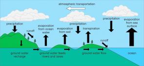 <p>Fig. 3.&nbsp;Diagram of the water cycle.</p><br />
