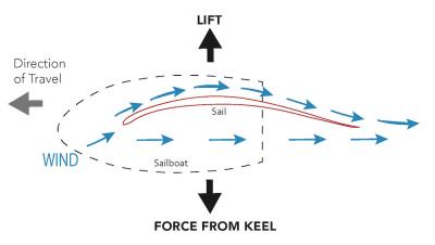 <p>Fig. 5. Similar to an airplane wing (Fig. 4), the shape of a sail allows a pressure differential to create "lift" in the horizontal direction. This simplified diaram shows the counteraction from the keel that allows the boat to have a forward momentum.&nbsp;</p>