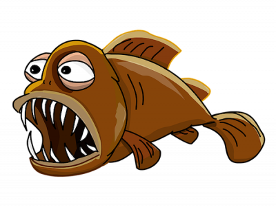 <p>Fig. 1. What might this fish eat with these large teeth?</p>