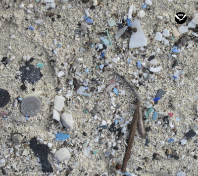 <p>Fig. 3. Microplastics scattered in beach sand.</p>
