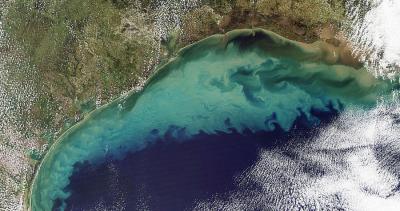 <p>Fig. 4. An aerial image of the Gulf of Mexico shows runoff and resuspended sediments in the hours after Tropical Storm Ida in 2009.</p>