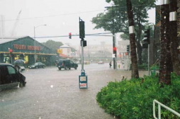 <p>Fig. 6. A flooded intersection (near the corner of Keeaumoku &amp; Makaloa Streets in Honolulu) reveals the potential dangers of excess rain. This photo was taken in 2006.</p>