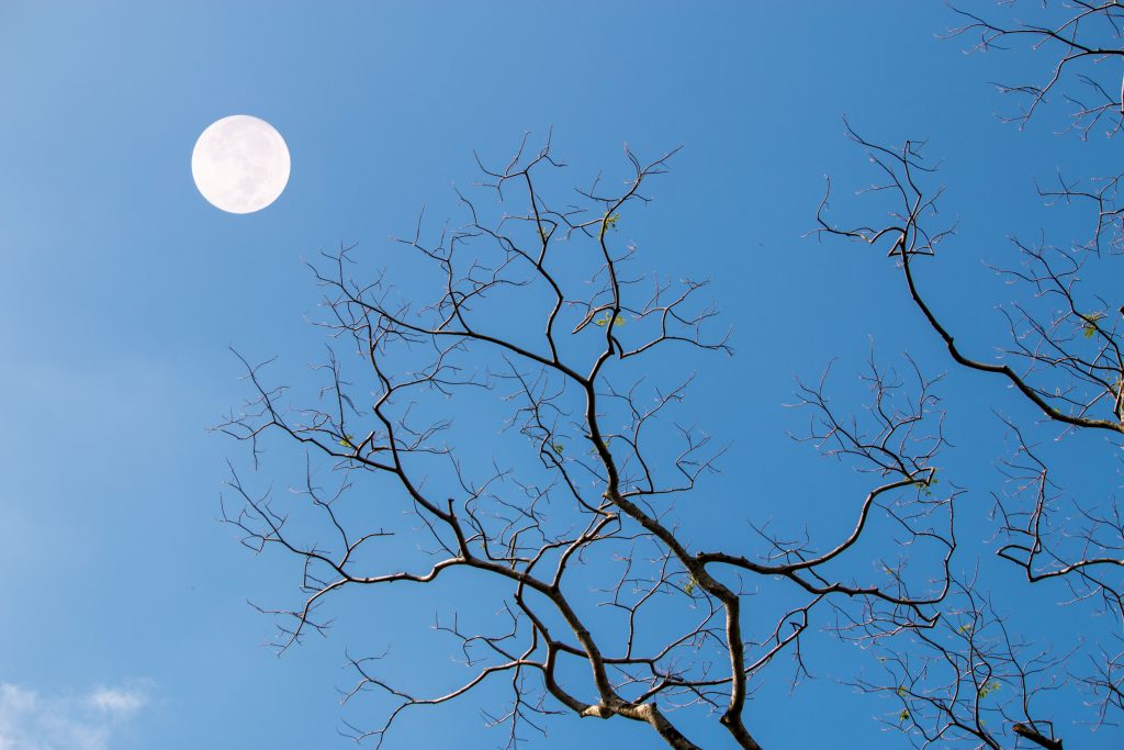 moon and night sky