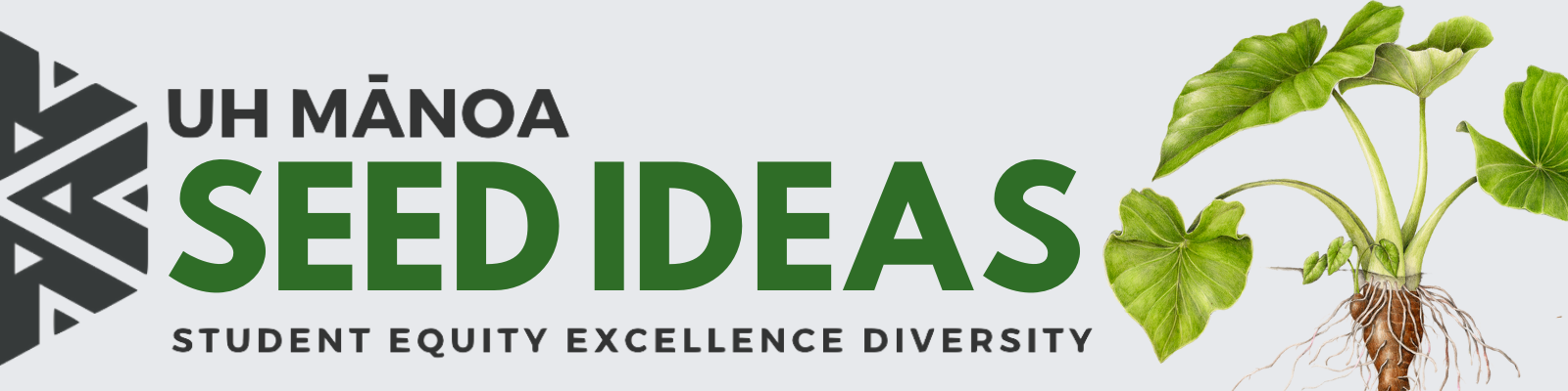 SEED IDEAS Banner