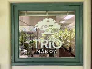 TRIO manoa window