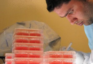 lab worker doing research