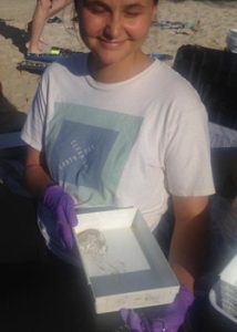 Co-author Raechel Kadler with Hawaiian Box Jellyfish. (Photo credit: Angel Yanagihara.