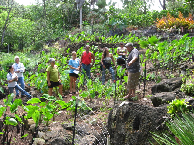 Service Learning on Oahu