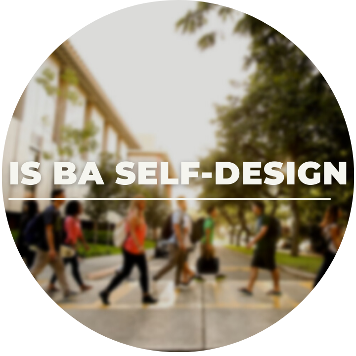 IS BA Self-Design