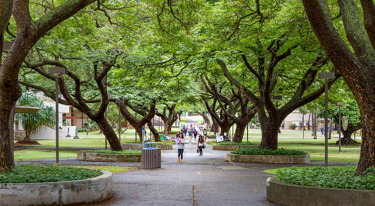 Students walking on McCarthy Mall